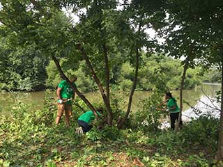 Riparian Photo
