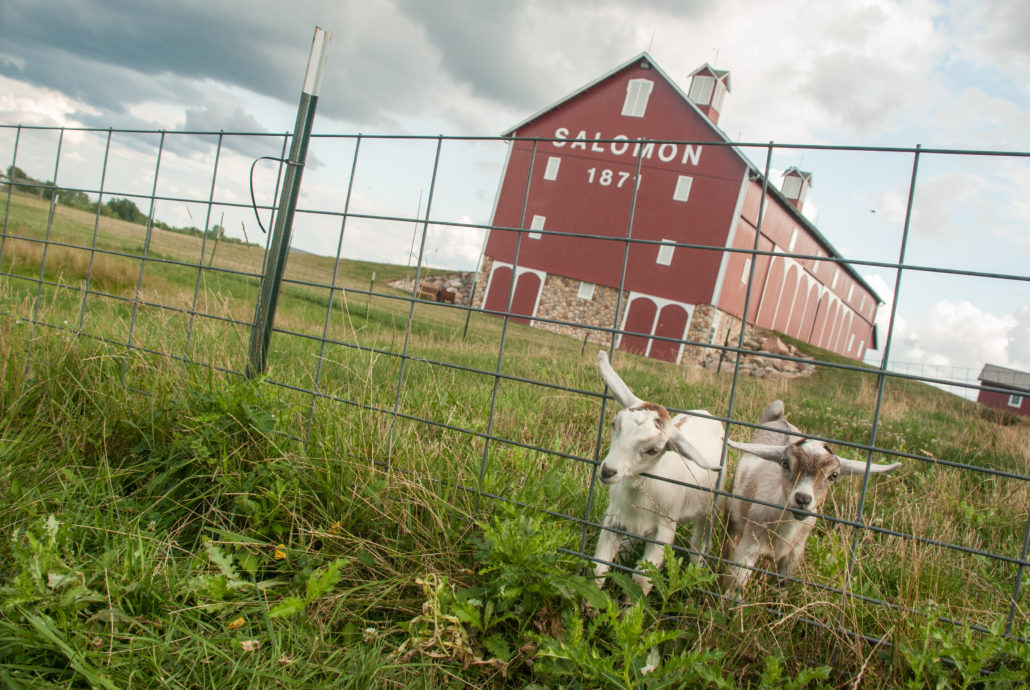 2 Salomon Farm Park